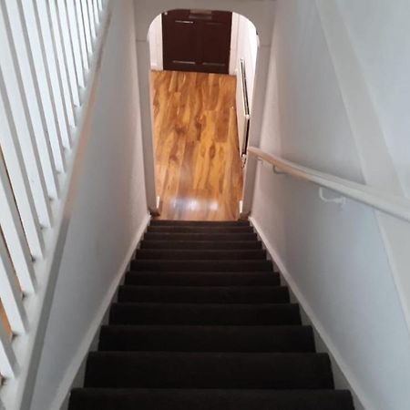 13 Vale House Leilighet London Eksteriør bilde
